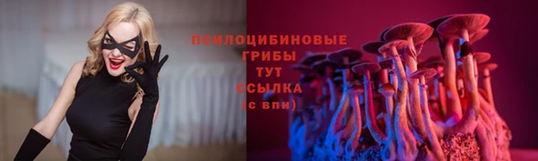 гидропоника Невельск