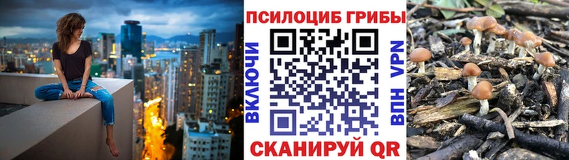 Галлюциногенные грибы мухоморы  Снежногорск 