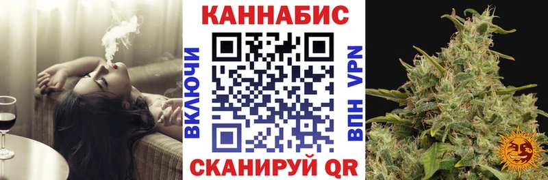 Бошки Шишки ГИДРОПОН  как найти наркотики  Снежногорск 